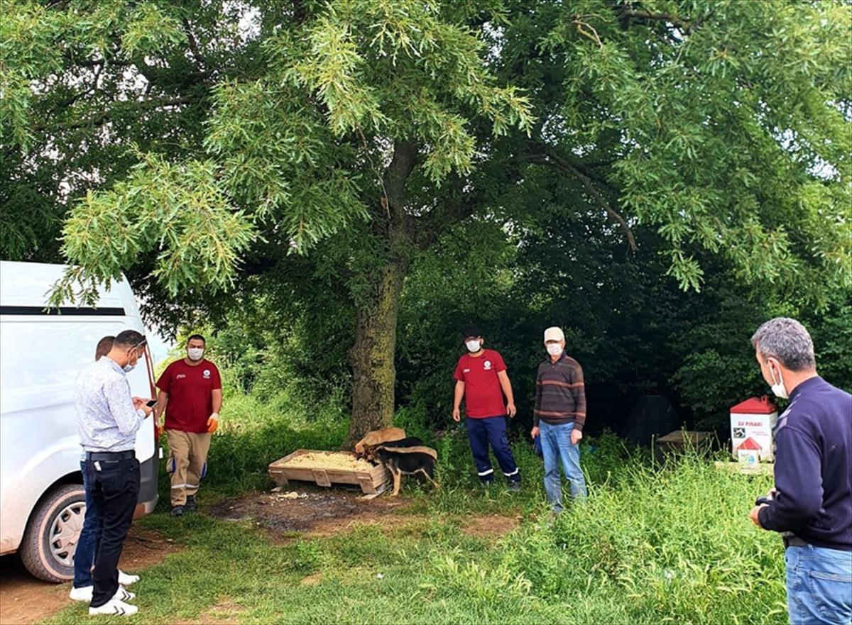Doğu Marmara ve Batı Karadeniz'de Kovid-19 tedbirleri