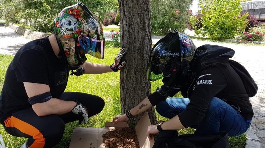 Aksaray Belediyesi hayvan severler gen&ccedil;lerin taleplerine sesiz kalmadı