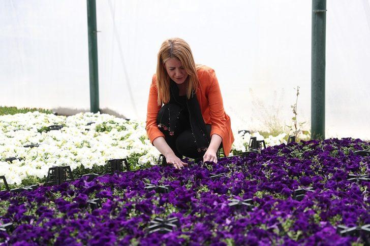 Yaklaşık 200 bin çiçeği kendileri ürettiler G4