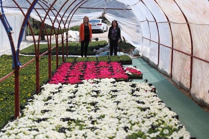 Yaklaşık 200 bin çiçeği kendileri ürettiler G5
