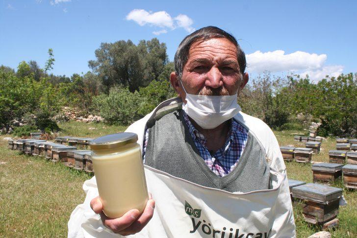 Arı sütünde sahtecilik uyarısı! Kilosu 10 bin liranın altındakini almayın! G1