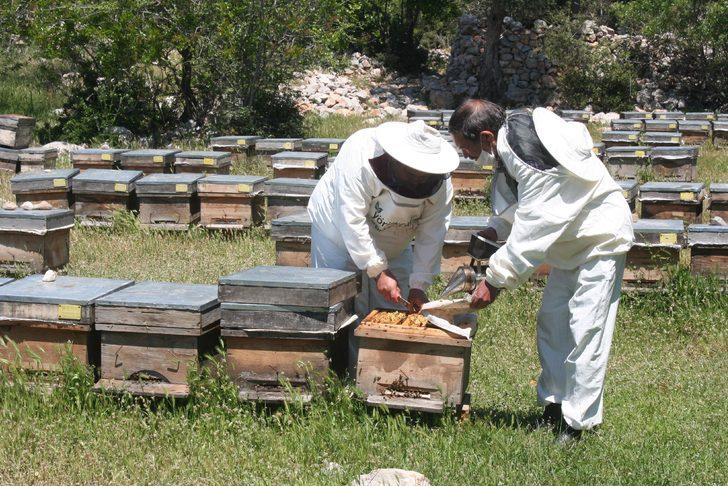 Arı sütünde sahtecilik uyarısı! Kilosu 10 bin liranın altındakini almayın! G4