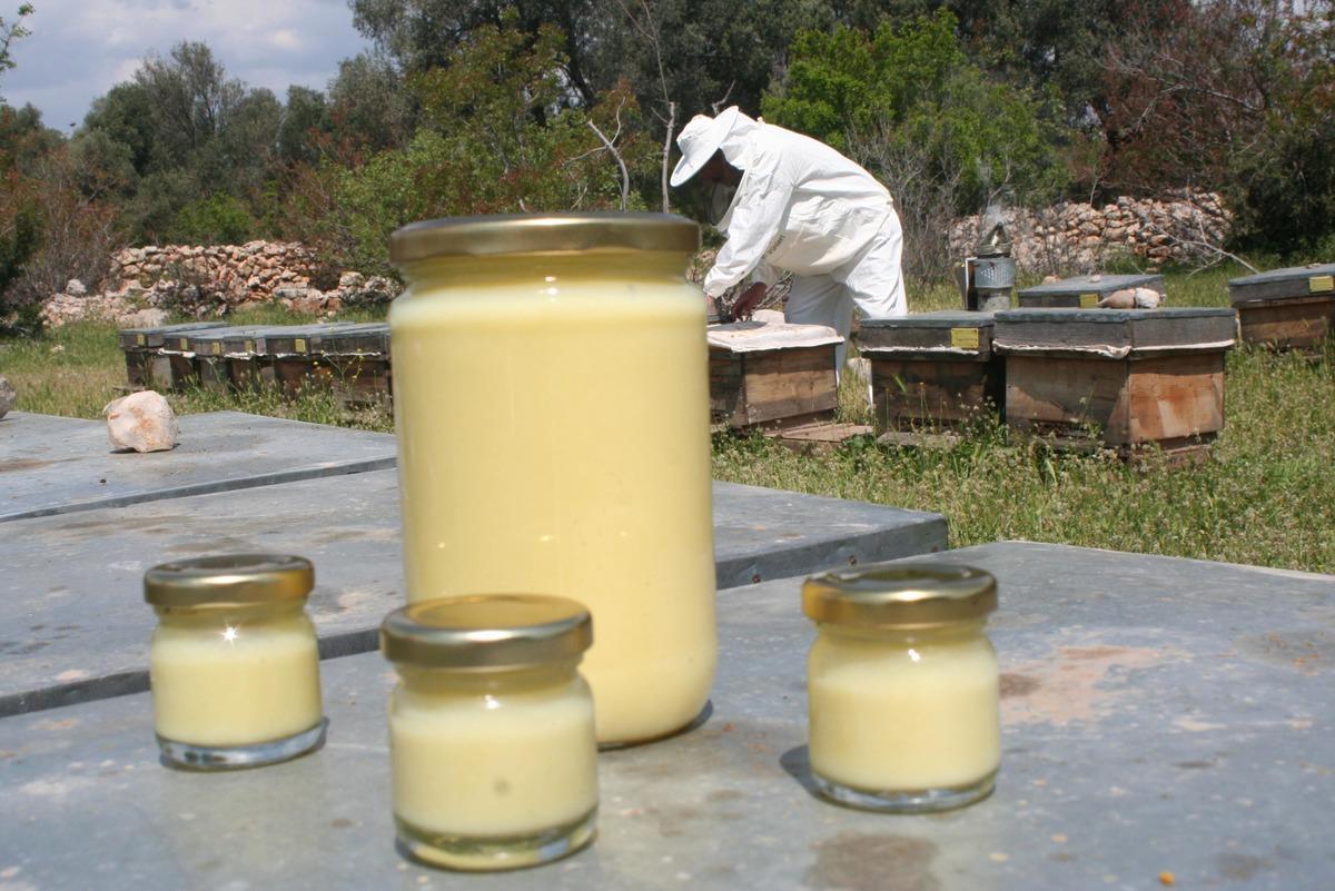 Arı s&uuml;t&uuml;nde sahtecilik uyarısı! Kilosu 10 bin liranın altındakini almayın!