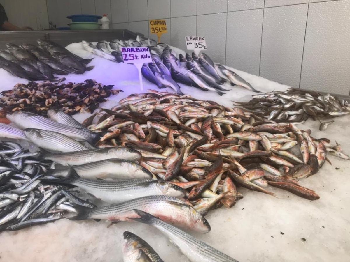 Sinop&rsquo;ta korona vir&uuml;s balık fiyatlarını d&uuml;ş&uuml;rd&uuml;