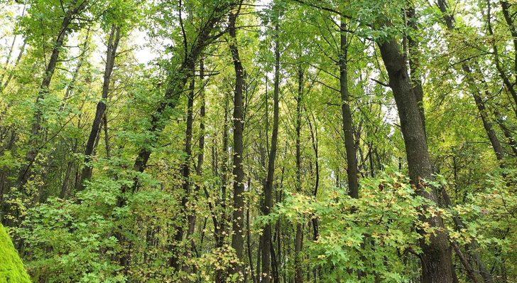 Koronavirüs sürecinde nefes aldıracak 19 eşsiz rota G2
