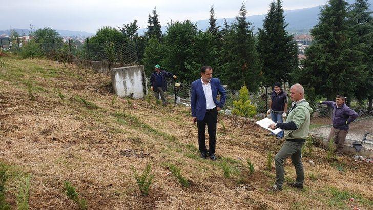 Merkez mahalle mezarlığında düzenleme başladı G1