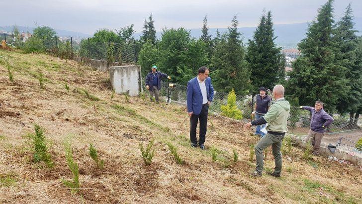 Merkez mahalle mezarlığında düzenleme başladı G2