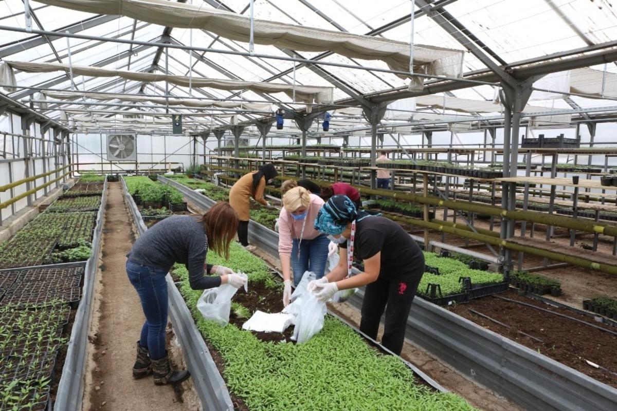 Don olayından zarar g&ouml;ren &ccedil;ift&ccedil;ilerin yarları sarılıyor