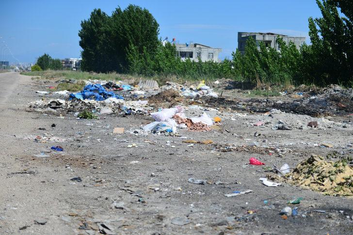 Adanalıların sinek tepkisi: Yatamıyoruz G3