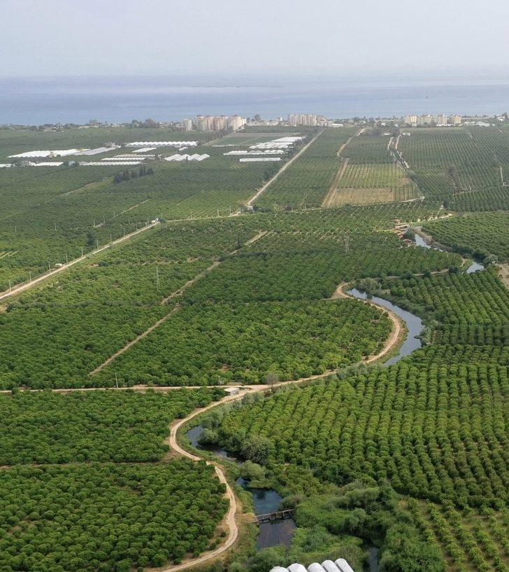 Afrika sıcakları çitçiyi vurdu, ürünler zarar gördü G3