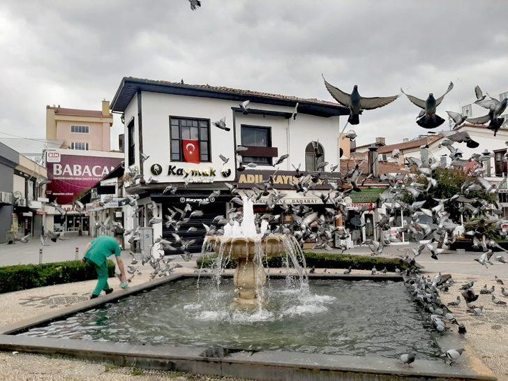 Belediye bayramda sokak hayvanlarını unutmadı G1