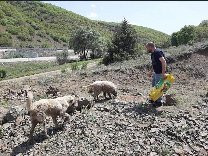 Belediye bayramda sokak hayvanlarını unutmadı G2