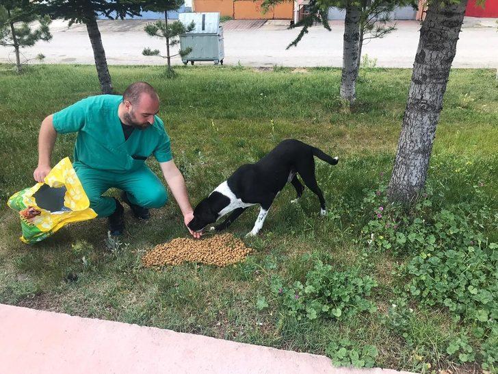 Belediye bayramda sokak hayvanlarını unutmadı G3