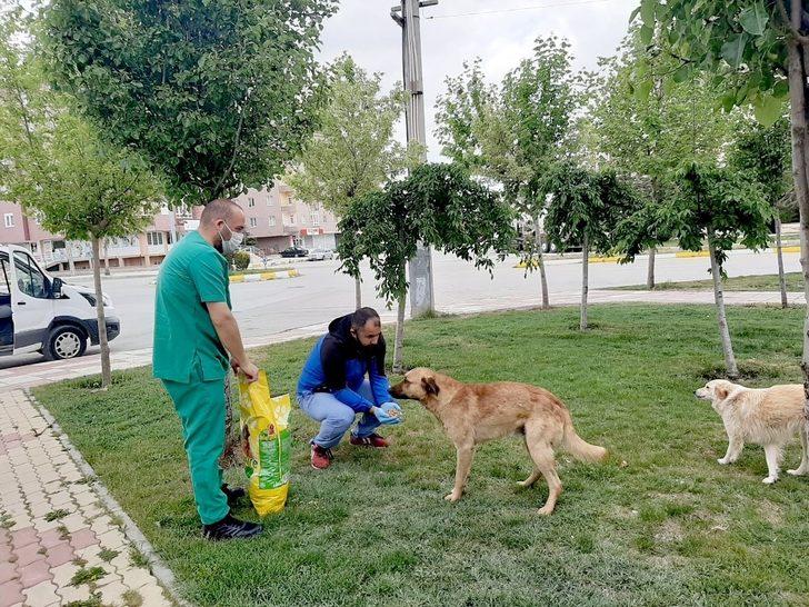 Belediye bayramda sokak hayvanlarını unutmadı G4