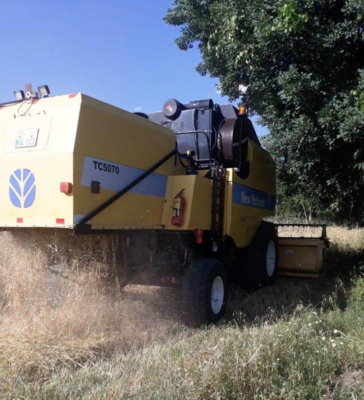 Düziçi’nde buğday hasadına başlandı G2