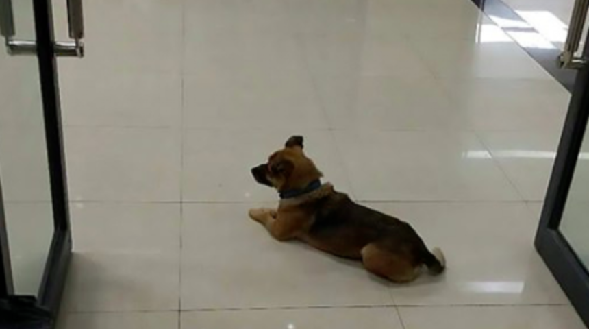 Koronadan &ouml;len sahibini hastanede aylarca bekledi