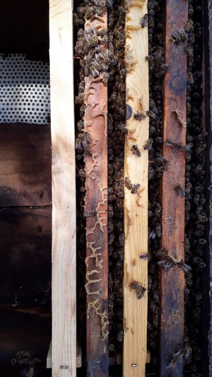 Kovandaki petekler üzerine ince ince yazılmış ‘Allah’ lafzı çıktı G2