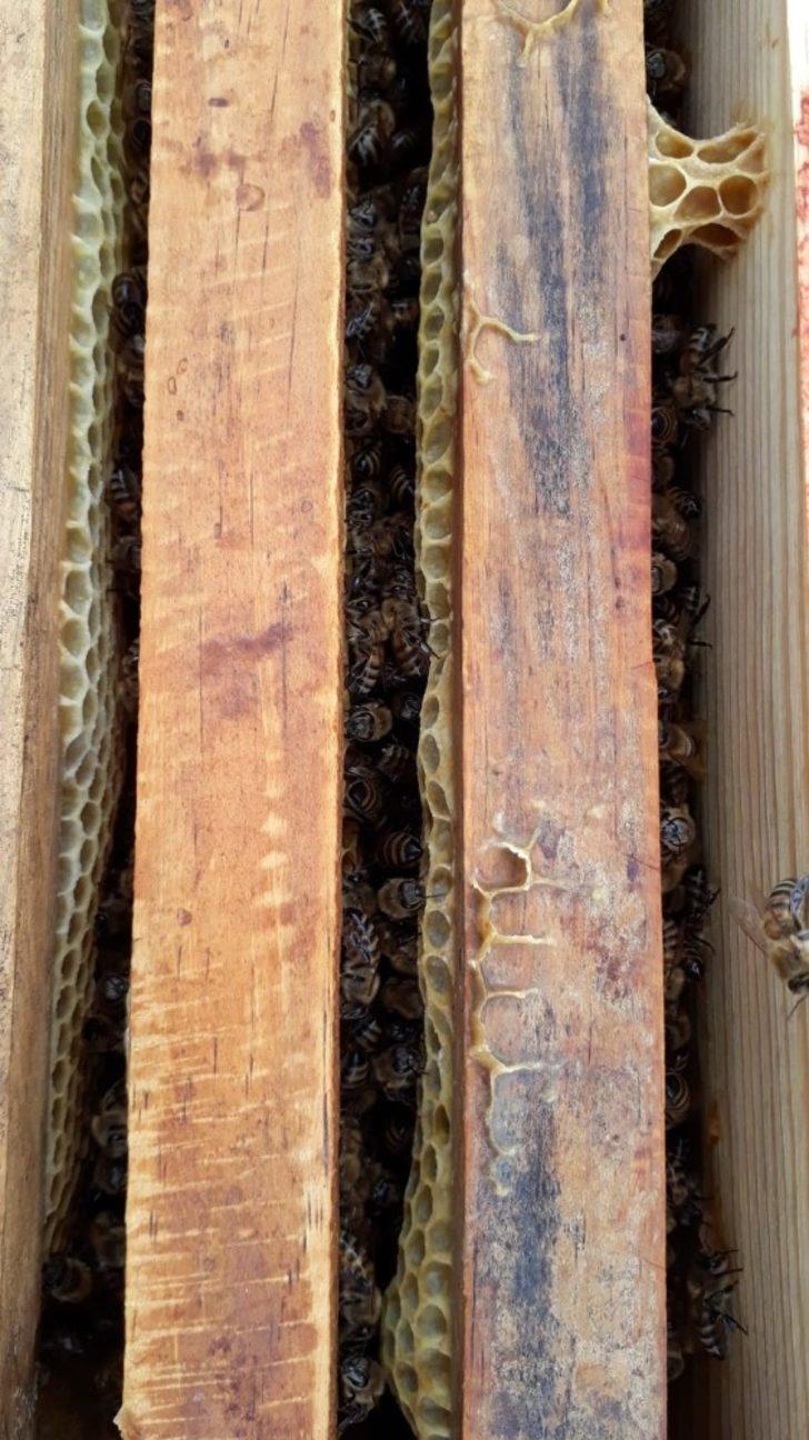 Kovandaki petekler üzerine ince ince yazılmış ‘Allah’ lafzı çıktı G3