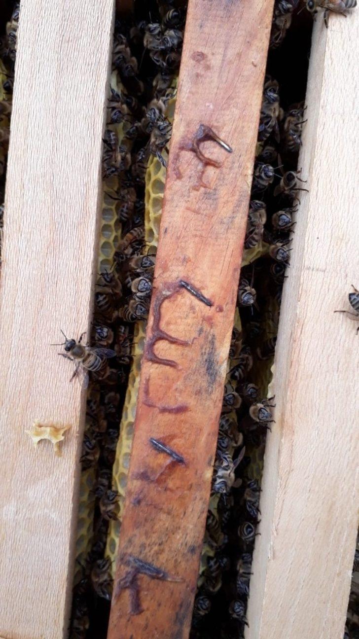 Kovandaki petekler üzerine ince ince yazılmış ‘Allah’ lafzı çıktı G4