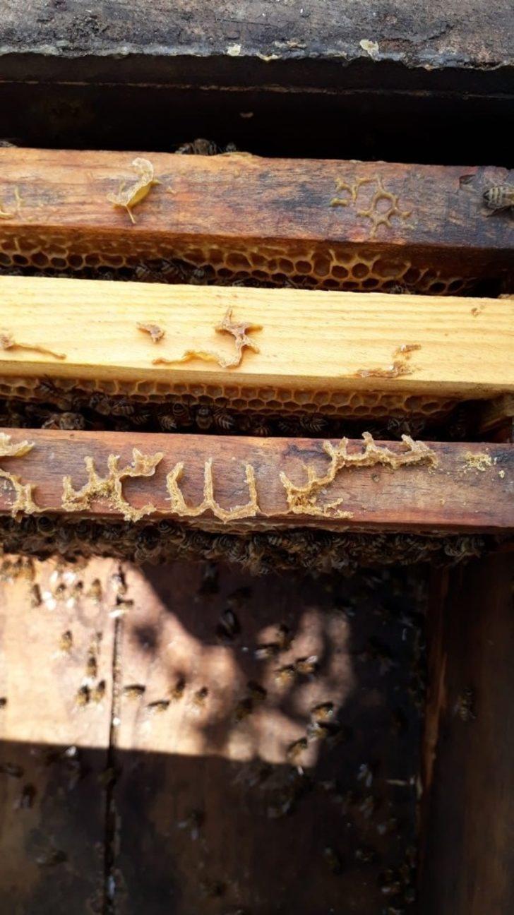 Kovandaki petekler üzerine ince ince yazılmış ‘Allah’ lafzı çıktı G5