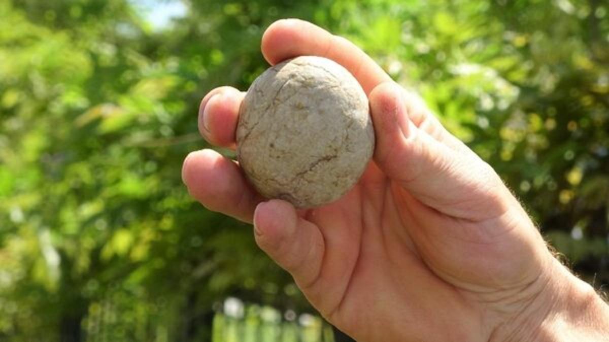 Dedesi hediye etti! Gizemli taşı kasada saklıyor