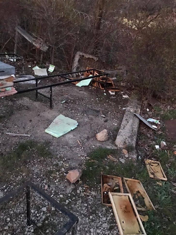 Ayılar bu mahalleyi mesken tuttu G3