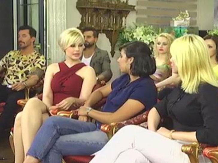 Kedicikler, ABD'li muhabiri şaşırttı G2