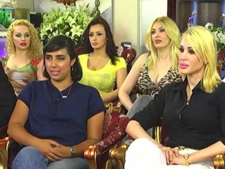 Kedicikler, ABD'li muhabiri şaşırttı G3