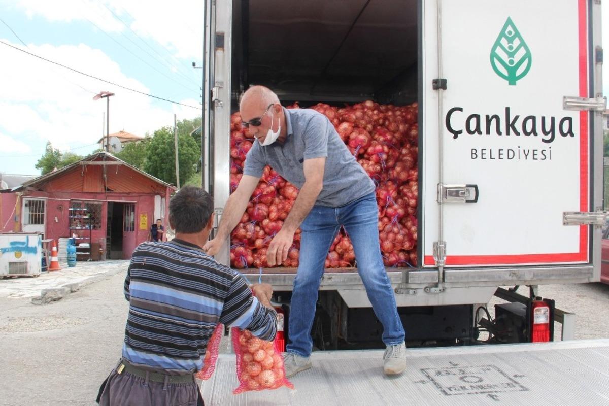 &Ccedil;ankaya&rsquo;dan dar gelirli vatandaşlara kuru soğan yardımı