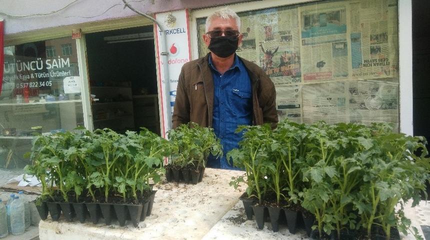 Hisarcık’ta zirai don sebze fidesi satışlarını arttırdı