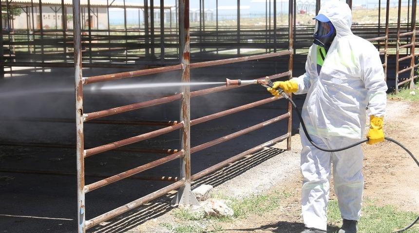 Karaman Belediyesinin haşere ve zararlı bitkilerle m&uuml;cadelesi devam ediyor