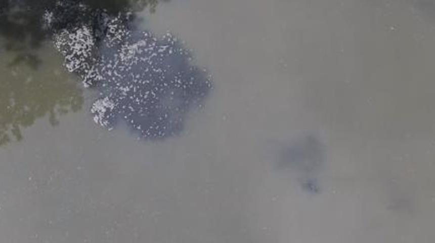 Çamurda koronavirüse rastlandı