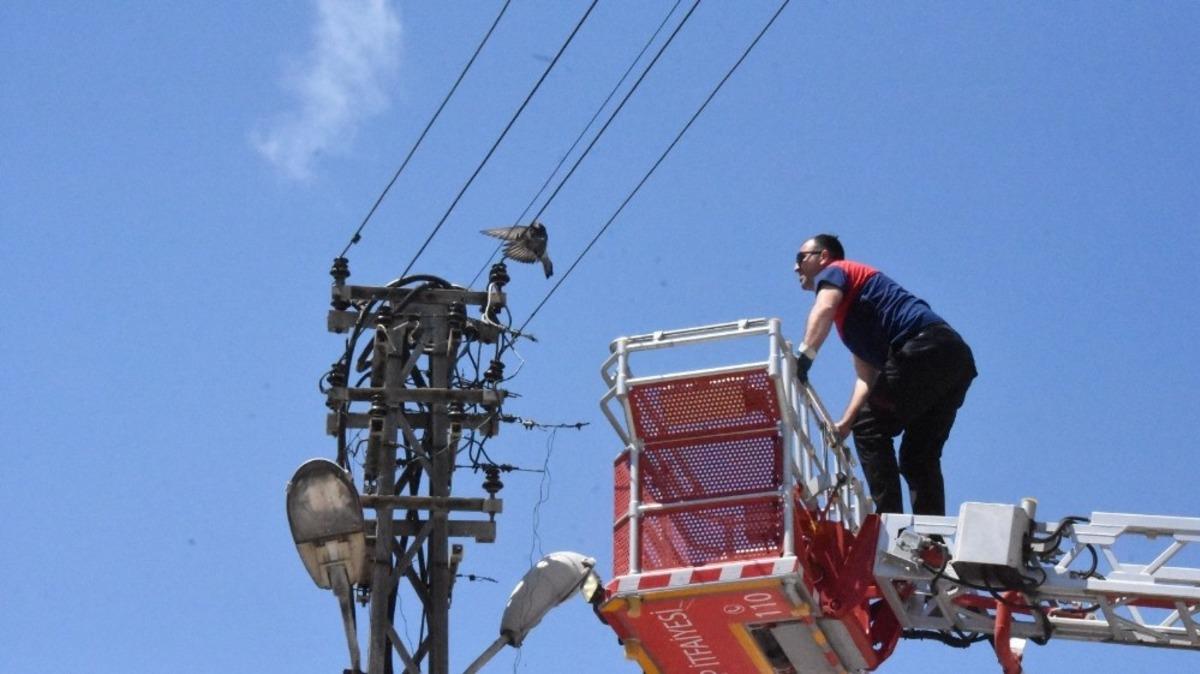 Ayağı tele takılan g&uuml;vercini itfaiye kurtardı