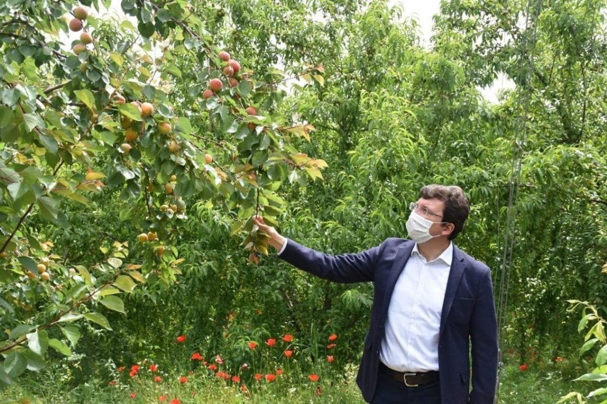 Dışarda Kaymakam, i&ccedil;erde &ouml;ğrenci