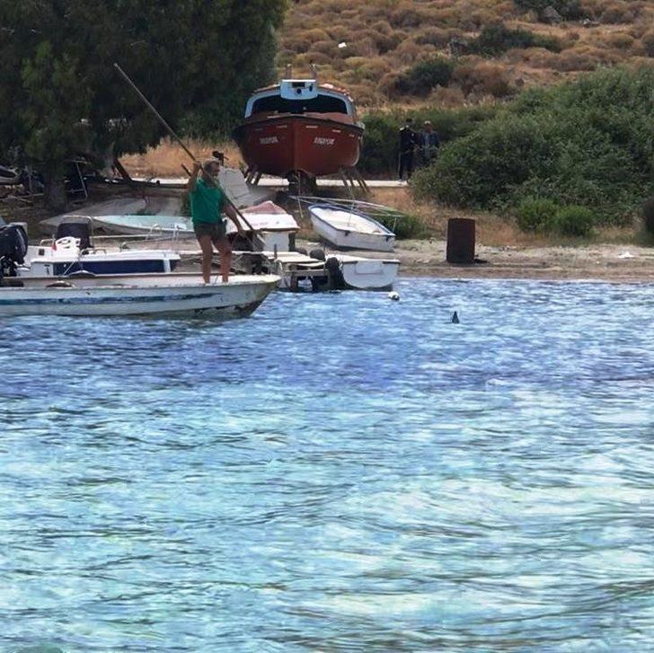 Denizde vahşet! Köpek balığını işkence ederek öldürdüler G1