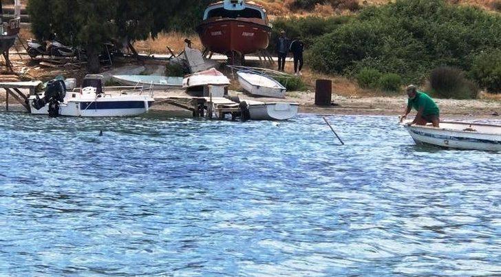 Denizde vahşet! Köpek balığını işkence ederek öldürdüler G2