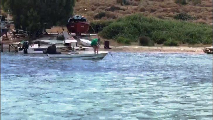 Denizde vahşet! Köpek balığını işkence ederek öldürdüler G3