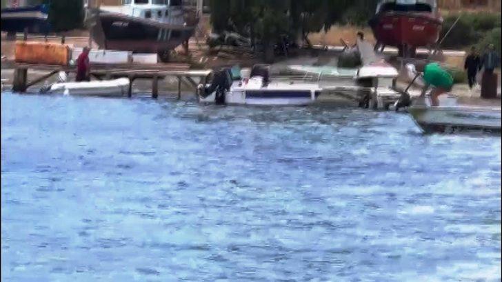 Denizde vahşet! Köpek balığını işkence ederek öldürdüler G4