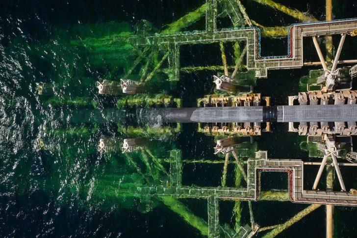 Rusya'dan Kuzey Akım 2 açıklaması! G5