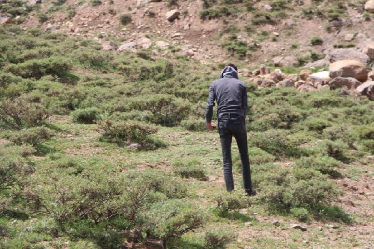 Bing&ouml;l ve Trabzon'da vatandaşlar 'meteor taşı' arıyor