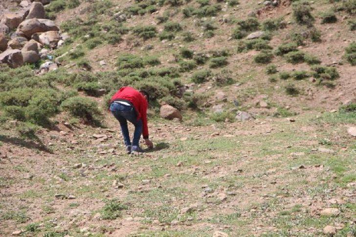 Bingöl ve Trabzon'da vatandaşlar 'meteor taşı' arıyor G2