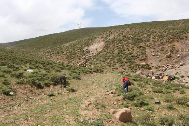 Bingöl ve Trabzon'da vatandaşlar 'meteor taşı' arıyor G4
