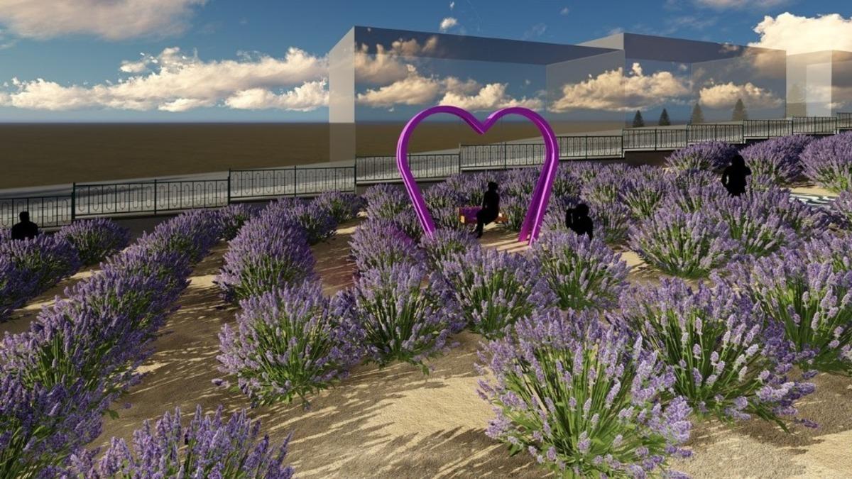 İzmit&rsquo;te lavantalar i&ccedil;erisinde sosyal yaşam alanı