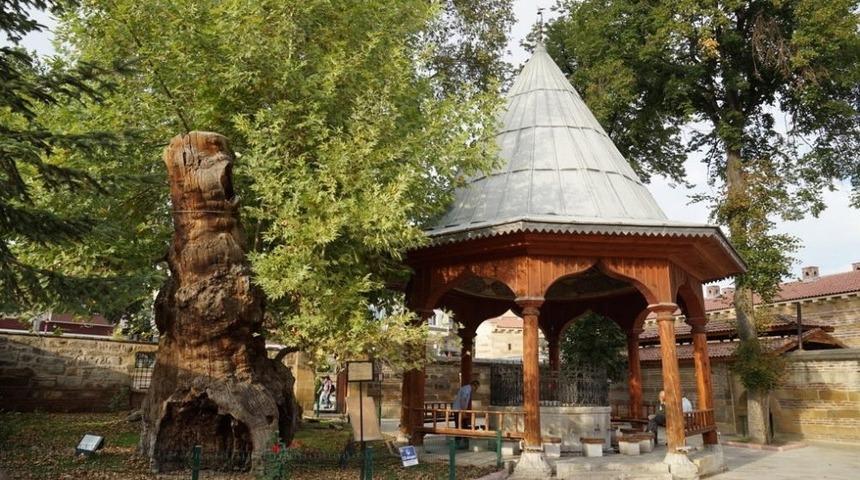 Camilerin ibadete a&ccedil;ılması sebebiyle ş&uuml;k&uuml;r kurbanı kesilecek