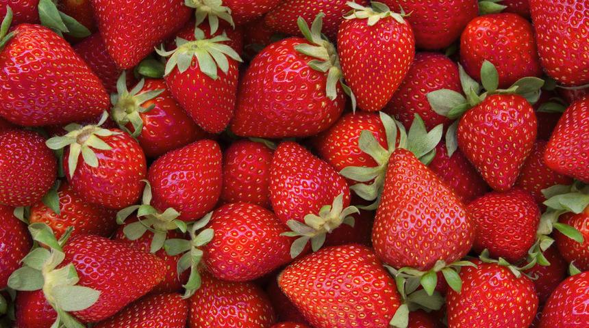 Doğru şekilde sakladığınızda yıllarca taze kalacak ürünler