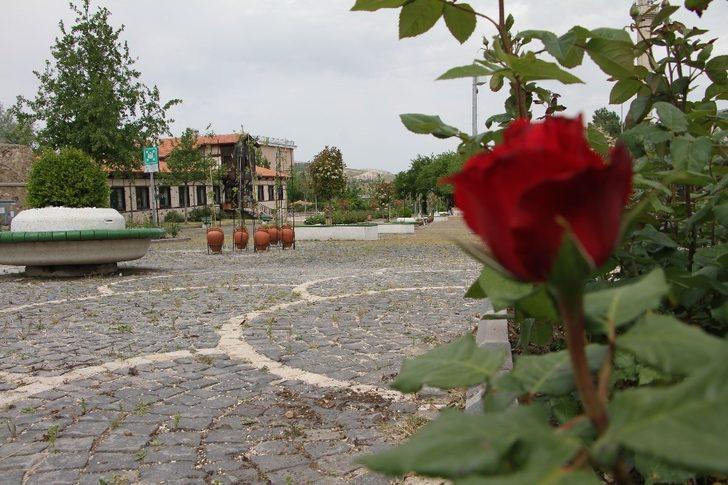 Gök taşı, Harput’tan da görüldü, herkes muhtarı arıyor G2