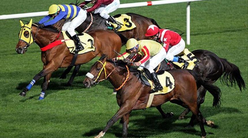 Katar'a şampiyon yarış atlarının spermleri mi satıldı? Gündem yaratan iddia