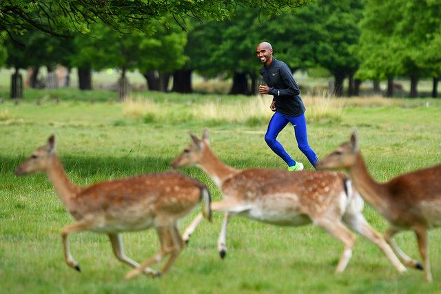 Olimpiyat ve Dünya Atletizm şampiyonu uzun mesafe koşucusu Sir Mo Farah, Londra'daki Richmond Park'ta koşarken