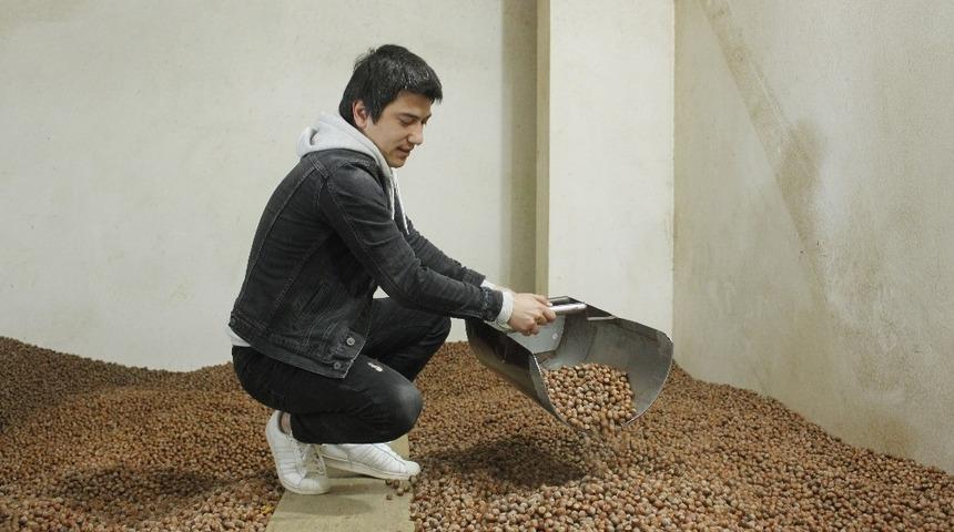 Korona virüs salgını fındığa yaradı, fındık fiyatı 26 liraya kadar çıktı