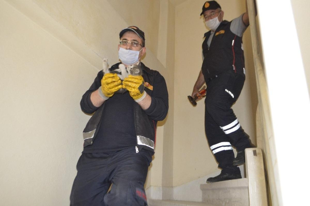 &Ccedil;atıda mahsur kalan yavru kediyi itfaiye ekipleri kurtardı